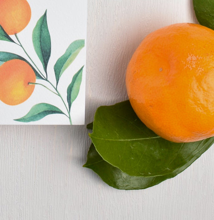 Orange fruit with green leaves beside an illustrated orange branch on a card.
