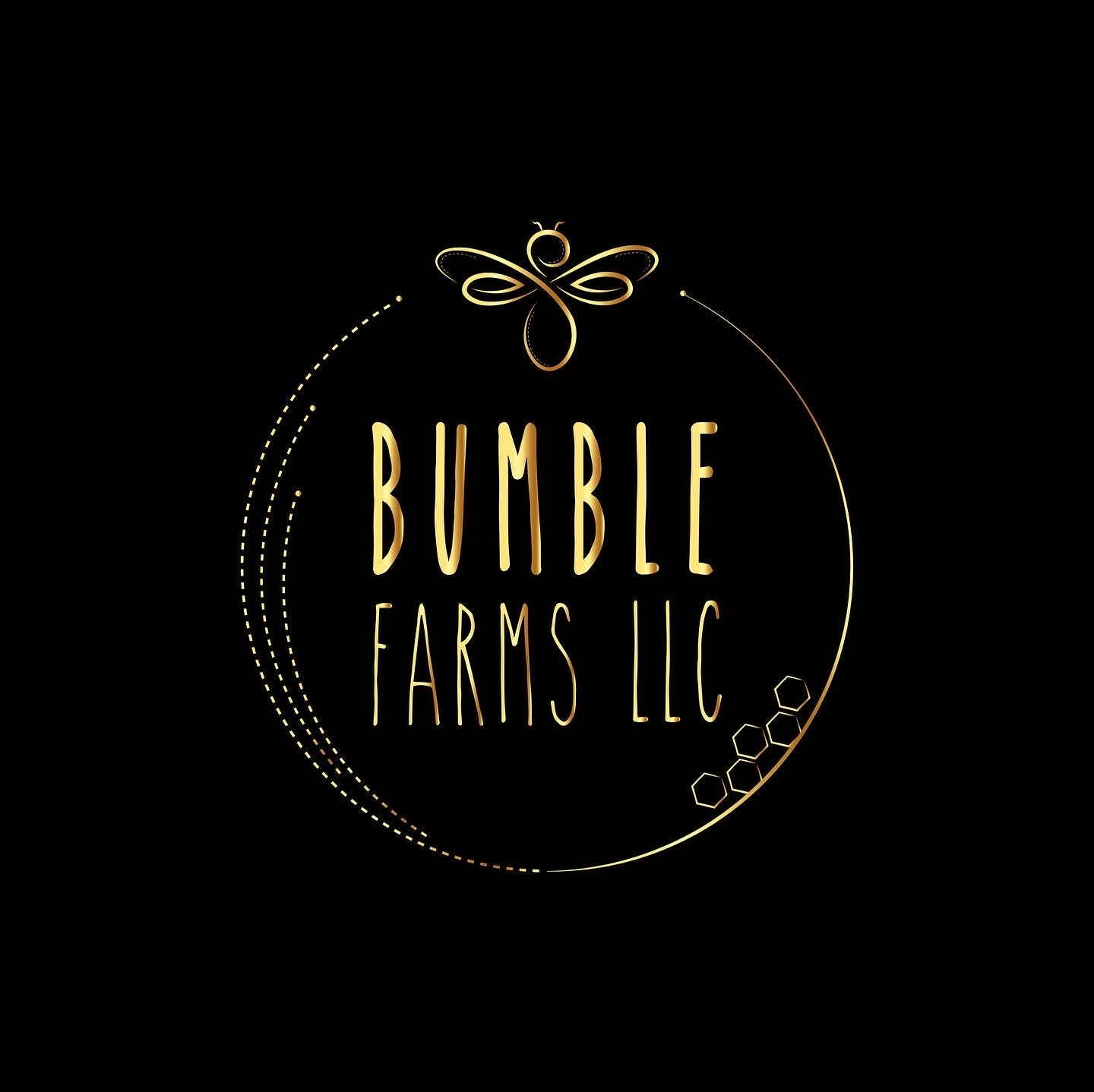 Full Brand Identity & Logo Design | Story-Driven Visuals + Brand Voice |