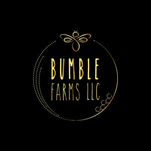 Full Brand Identity & Logo Design | Story-Driven Visuals + Brand Voice |
